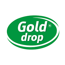 gold-drop